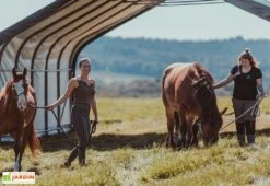 Abri Souple Pour Animaux En Polyéthylène 49,6 M² -Solid || Axi || EXIT TOYS Soldes Boutique abri chevaux polyethylene 49m2