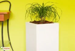 Pot De Fleurs En Polyéthylène Atlantis – 30 X 30 X 47 Cm -Solid || Axi || EXIT TOYS Soldes Boutique bac a fleurs blanc 2