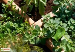 Carré Potager En Bois Autoclave Sur Pieds 80 X 80 Cm H. 88 Cm - Rezekne -Solid || Axi || EXIT TOYS Soldes Boutique bac potager bois sureleve ekju 253394