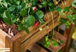 Carré Potager Sur Pieds En Bois Autoclave Brun - 75 X 75 X 79 Cm -Solid || Axi || EXIT TOYS Soldes Boutique carre potager bois 1 1