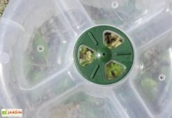 Cloche Potagère à Forcer Modulo ø35 Cm (lot De 3) -Solid || Axi || EXIT TOYS Soldes Boutique cloche potagere modulo 2