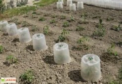 Cloche Potagère à Forcer Modulo ø35 Cm (lot De 3) -Solid || Axi || EXIT TOYS Soldes Boutique cloche potagere modulo 3