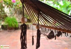 Hamac En Coton Tissé à La Main 100 X 237 Cm - Granada L -Solid || Axi || EXIT TOYS Soldes Boutique detail toile hamac coton granada