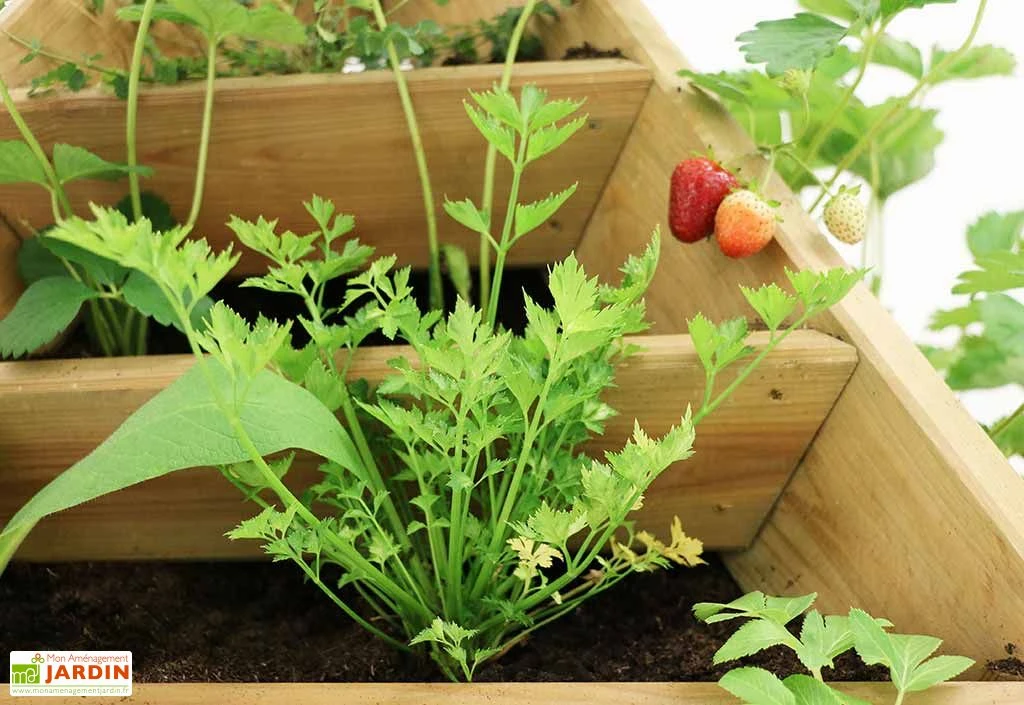 Bac à Fleurs En Bois De Pin Traité Jardinière Pyramide 80 X 76 Cm 4 Bac à Fleurs En Bois De Pin Traité Jardinière Pyramide 80 X 76 Cm – Image 2