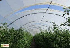 Serre Professionnelle Richel En Acier Et Polyéthylène 8 X 30 M -Solid || Axi || EXIT TOYS Soldes Boutique ecarteur bache serre tunnel richel 8x30m