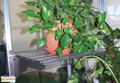 Étagère En Aluminium à Charge Lourde < 40 Kg Pour Serre Palram -Solid || Axi || EXIT TOYS Soldes Boutique etagere aluminium charge lourde 40kg palram heavy duty shelf kit 4