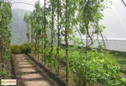 Serre Tunnel Tonneau En Polyéthylène 34 M² - Gothique 7,5 X 4,5 M -Solid || Axi || EXIT TOYS Soldes Boutique g45750atc serre tunnel goth 7.5