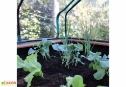 Axi Table De Culture En Bois De Hemlock + Bâche Plastique - 110 X 93 X 99 Cm -Solid || Axi || EXIT TOYS Soldes Boutique interieur mini serre sur pieds bois