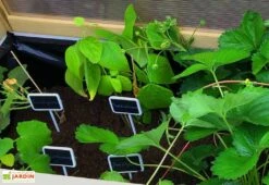 Axi Serre De Culture Sur Pieds En Bois Et Polycarbonate - 120 X 54 X 120 Cm -Solid || Axi || EXIT TOYS Soldes Boutique interieur serre sur pieds bois