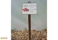 Mikado Lot De 6 Jalons Pour Semis Tomates Avec étiquettes – 45 Cm