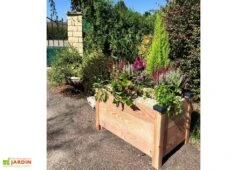 Jardinière Rectangulaire En Bois Douglas Non Traité - Premium -Solid || Axi || EXIT TOYS Soldes Boutique jardiniere en bois douglas 1