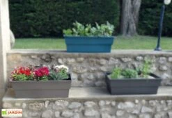 Jardinière Calipso Maxi Basic 40L + Pieds Amovibles – Taupe -Solid || Axi || EXIT TOYS Soldes Boutique jardiniere polypropylene 40l pieds amovibles calipso maxi basic taupe 3