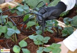 Kit D'irrigation Goutte à Goutte Pour Serre De Jardin Palram-Canopia -Solid || Axi || EXIT TOYS Soldes Boutique kit irrigation serre palram 10m