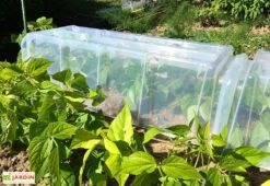 Serre De Jardin Tunnel De Forçage : Bases + Embouts + Piquets (105 X 39 X 30 Cm)