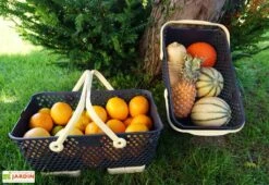 Paniers De Récolte Kajo 15L - 48 X 29 X 20 Cm (lot De 2) -Solid || Axi || EXIT TOYS Soldes Boutique panier recolte kajo 15 jaune pastel