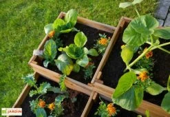 Carré Potager En Bois Autoclave à étages 4 Compartiments - 90 X 90 X 46 Cm -Solid || Axi || EXIT TOYS Soldes Boutique plantes potager 4 compartiments