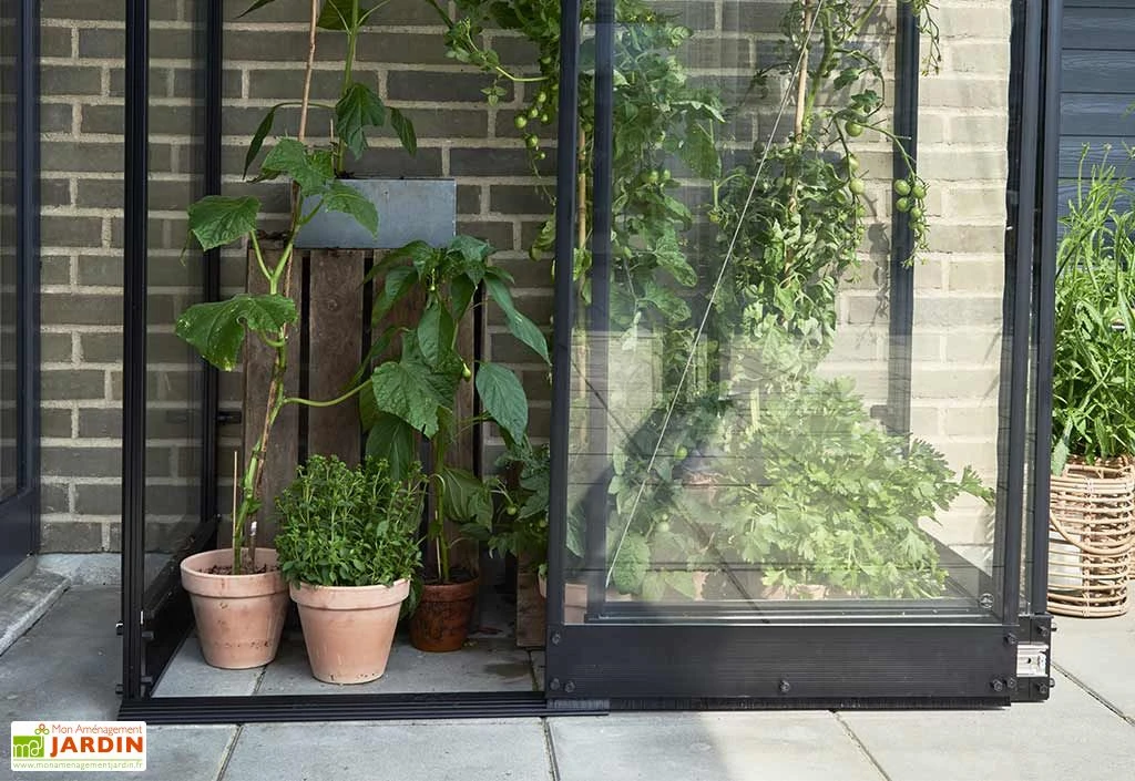 Halls Serre De Jardin Adossée En Verre Trempé Qube Lean-to 24 – 0,8 M² 4 Halls Serre De Jardin Adossée En Verre Trempé Qube Lean-to 24 – 0,8 M² – Image 2