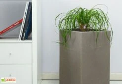 Pot De Fleurs En Polyéthylène Atlantis – 30 X 30 X 47 Cm -Solid || Axi || EXIT TOYS Soldes Boutique pot de fleurs gris 6