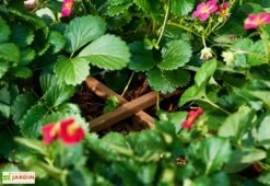 Carré Potager Sur Pieds En Bois Autoclave Brun - 75 X 75 X 79 Cm -Solid || Axi || EXIT TOYS Soldes Boutique potager bois surelever 1