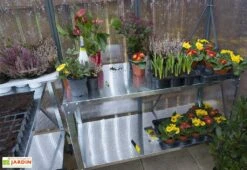 Serre De Jardin En Aluminium Et Polycarbonate Glory 4,7 M² - Grise -Solid || Axi || EXIT TOYS Soldes Boutique serre jardin aluminium polycarbonate glory 4 7 m 3