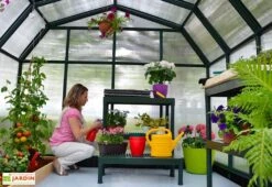 Serre De Jardin Polycarbonate Et PVC 5 X 2,5 M – Hobby Gardener 8x16 -Solid || Axi || EXIT TOYS Soldes Boutique serre jardin palram hobby gardener polycarbonate pvc vert 1 1