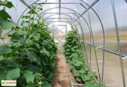 Serre De Jardin Tunnel En Polycarbonate Et Acier -Solid || Axi || EXIT TOYS Soldes Boutique serre jardin tunnel interieur