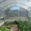 Serre Tunnel Tonneau En Polyéthylène 22,5 M² - 4 Saisons 7,5 X 3 M