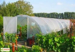 Serre Tunnel En Acier Et Polyéthylène Flandre Avec Aérations – Largeur 3,70 M