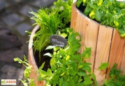 Spirale Aromatique – Jardinière En Bois De Mélèze Ø55 Cm -Solid || Axi || EXIT TOYS Soldes Boutique spirale aromatique jardiniere bois 55cm